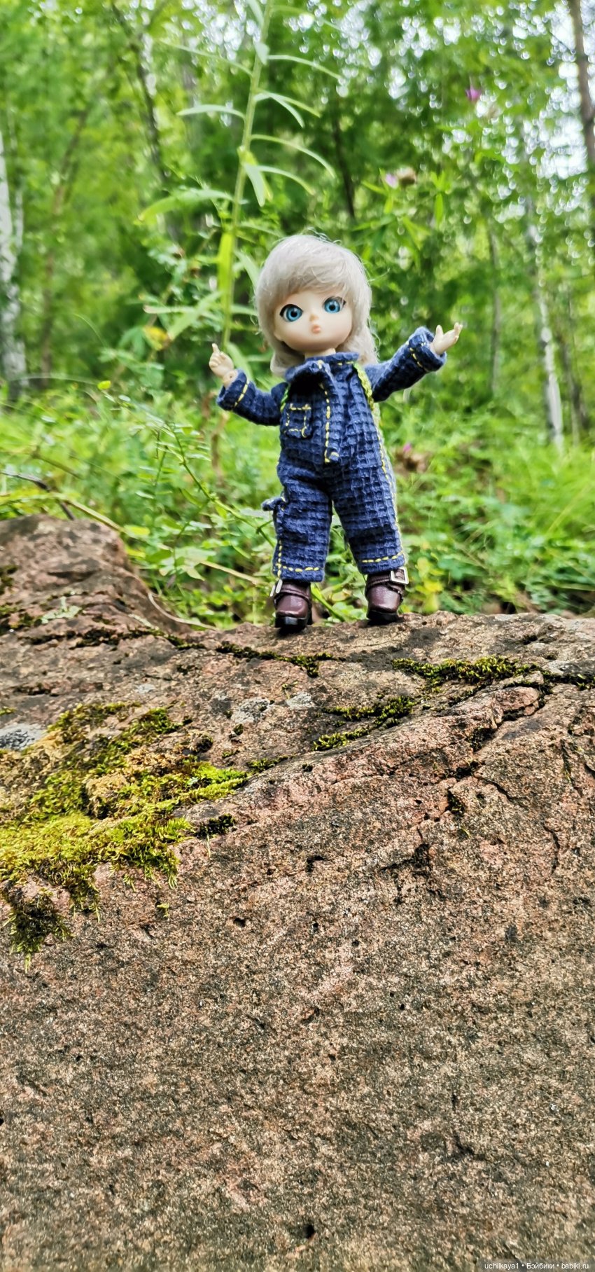 Мирка и Ко. Надюшина прогулка (фото 2)