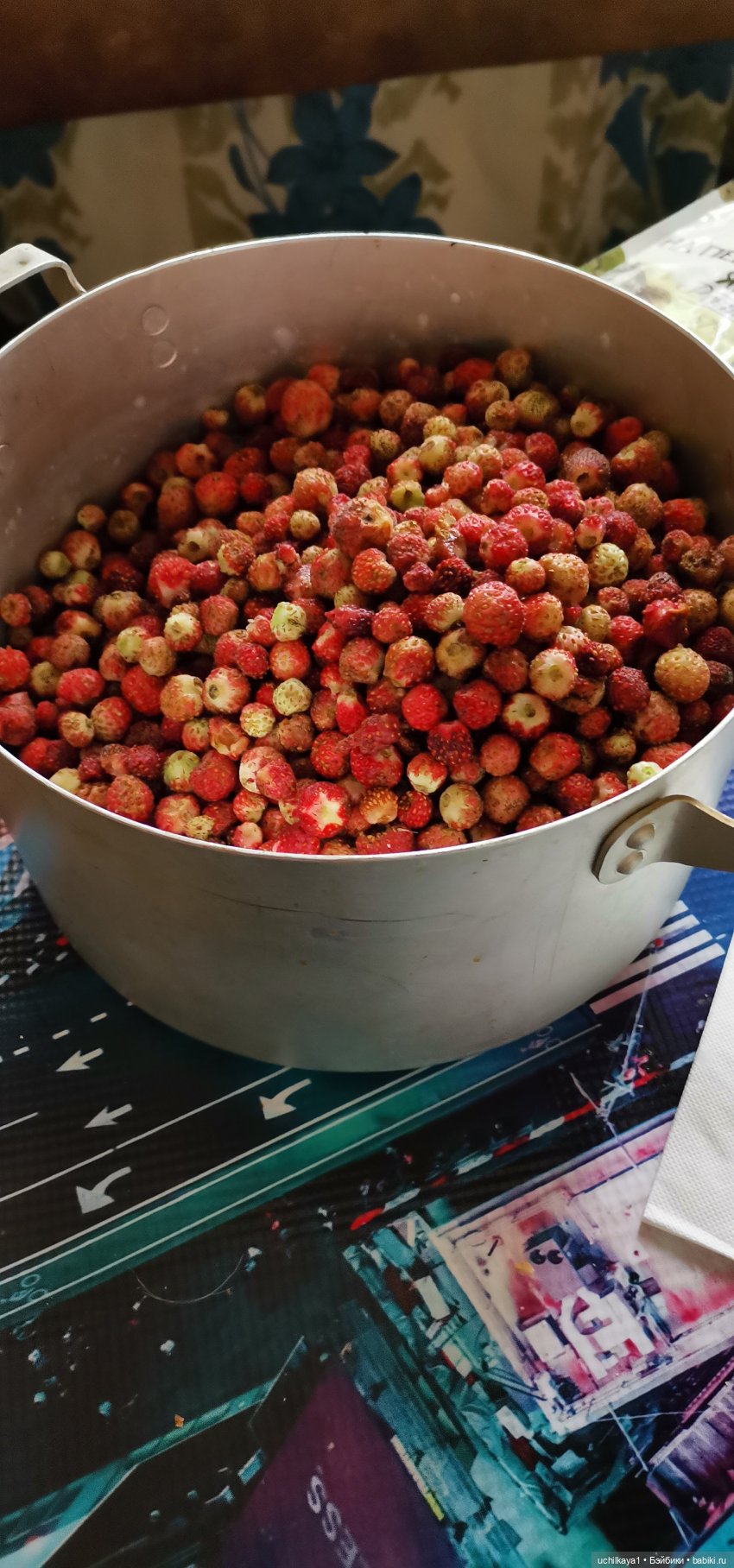 Мирка и Ко. Надюшина прогулка