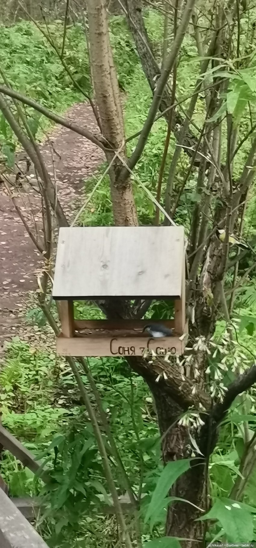 Женькина прогулка. Красноярские "Столбы"