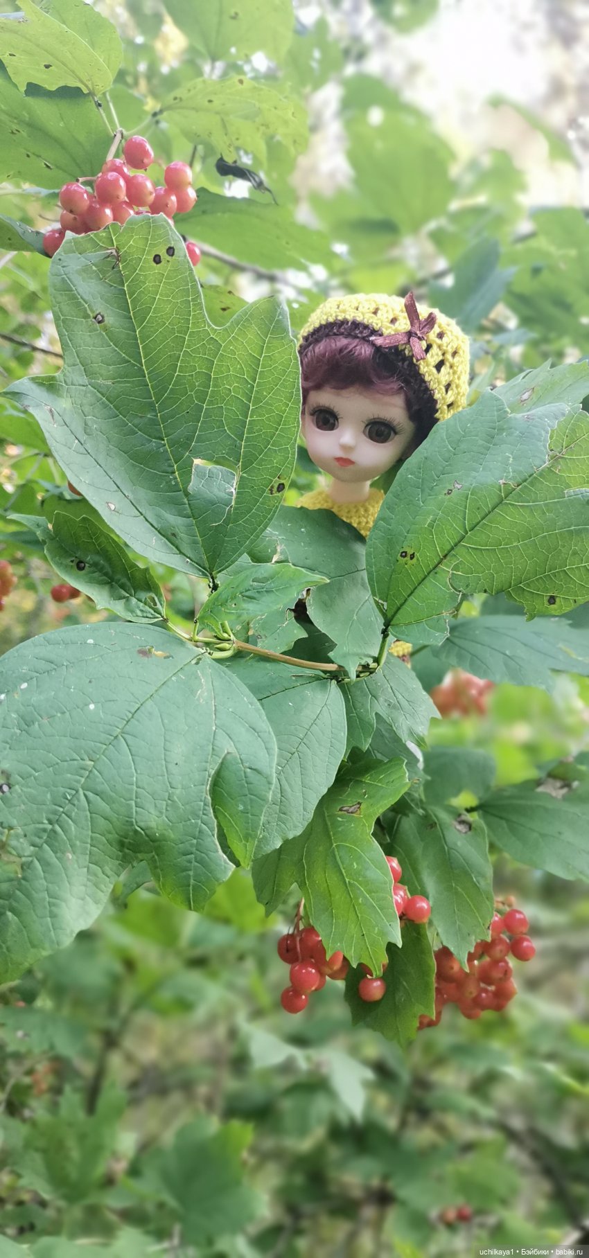 Женькина прогулка. Красноярские "Столбы" (фото 9)