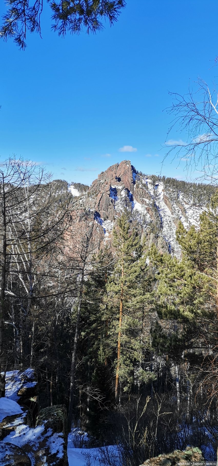 Мирка и Ко. Заповедник "Столбы". Часть 3 (фото 4)