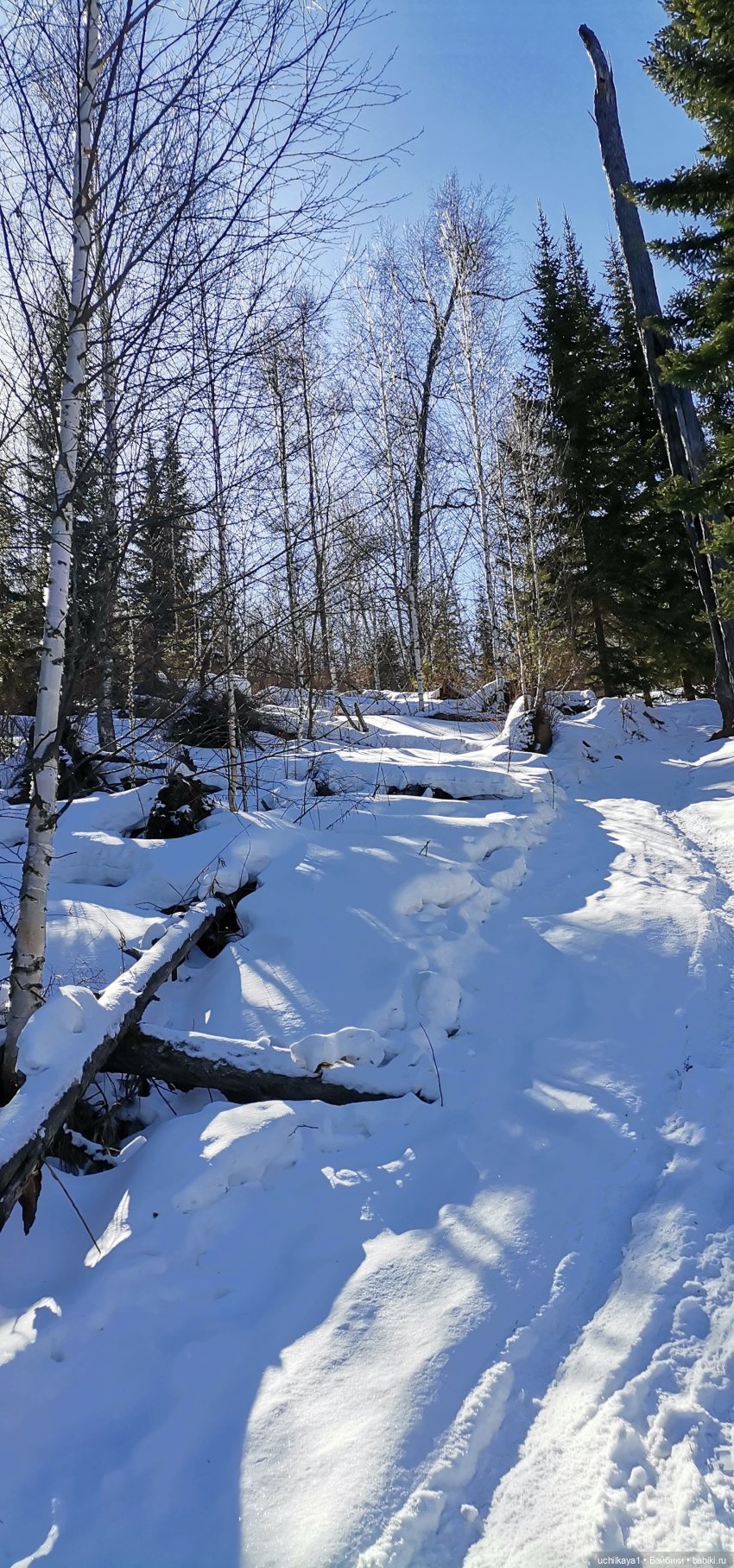 Мирка и Ко. Заповедник "Столбы". Часть 3