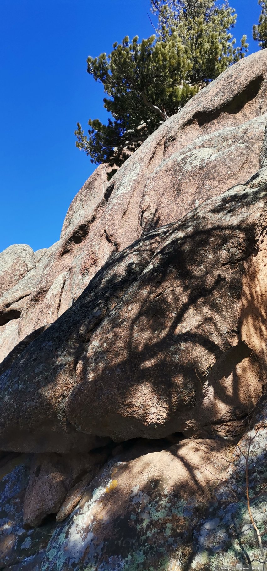 Мирка и Ко. Заповедник "Столбы". Часть 3 (фото 3)