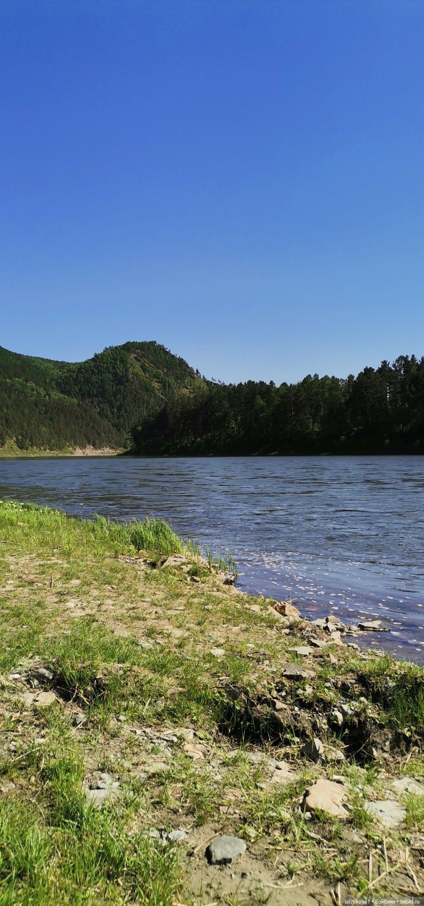 Мирка и Ко. Купальный сезон открыт