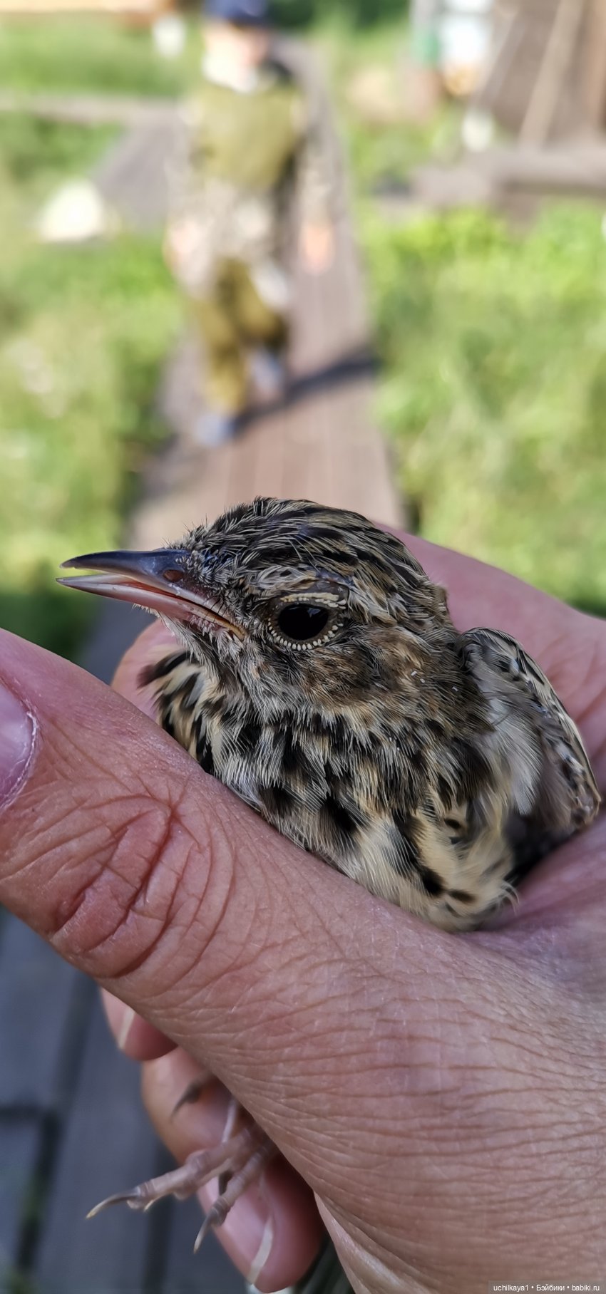 Ергаки. Кордон "Таловка" — Туризм и путешествия: фотоотчеты из поездок