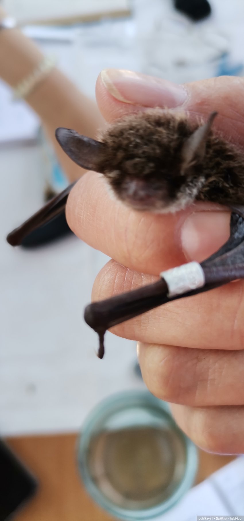 Ергаки. Кордон "Таловка" — Туризм и путешествия: фотоотчеты из поездок (фото 10)