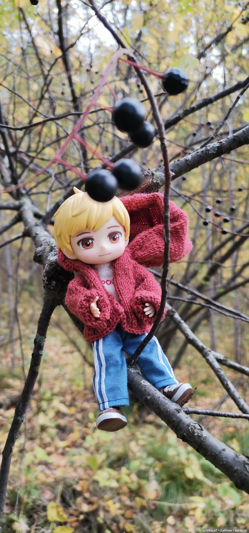 Хорошо все то, что хорошо заканчивается или Как мы по грибы сходили (фото 5)