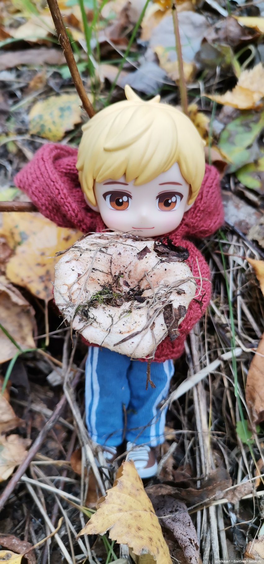 Хорошо все то, что хорошо заканчивается или Как мы по грибы сходили (фото 7)