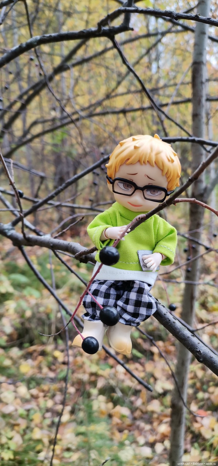 Хорошо все то, что хорошо заканчивается или Как мы по грибы сходили (фото 6)