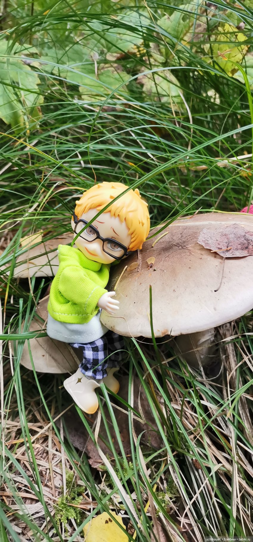 Хорошо все то, что хорошо заканчивается или Как мы по грибы сходили (фото 2)