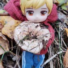 Хорошо все то, что хорошо заканчивается или Как мы по грибы сходили