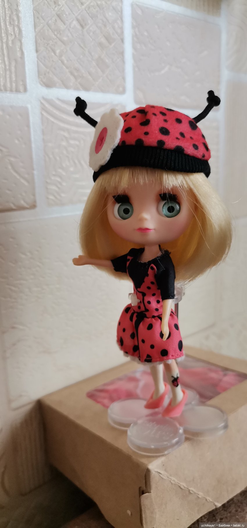 Божья коровка — Оригинальные куклы Blythe (Блайз): Takara (фото 3)