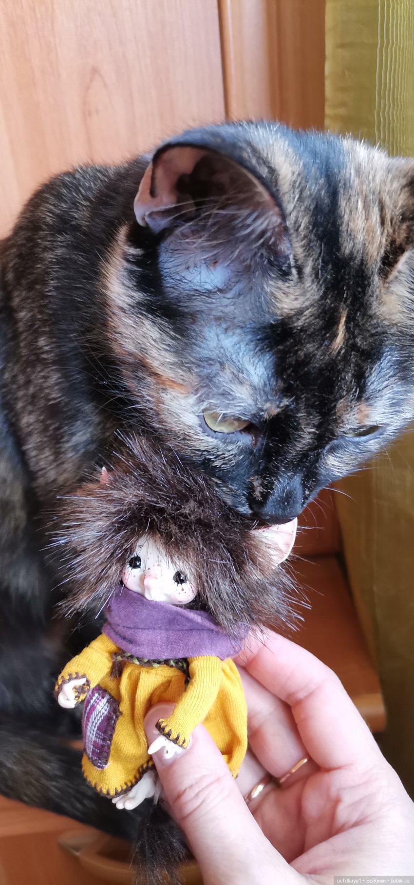 Волшебство в ладошке — Домашние фото авторских игрушек: Тедди