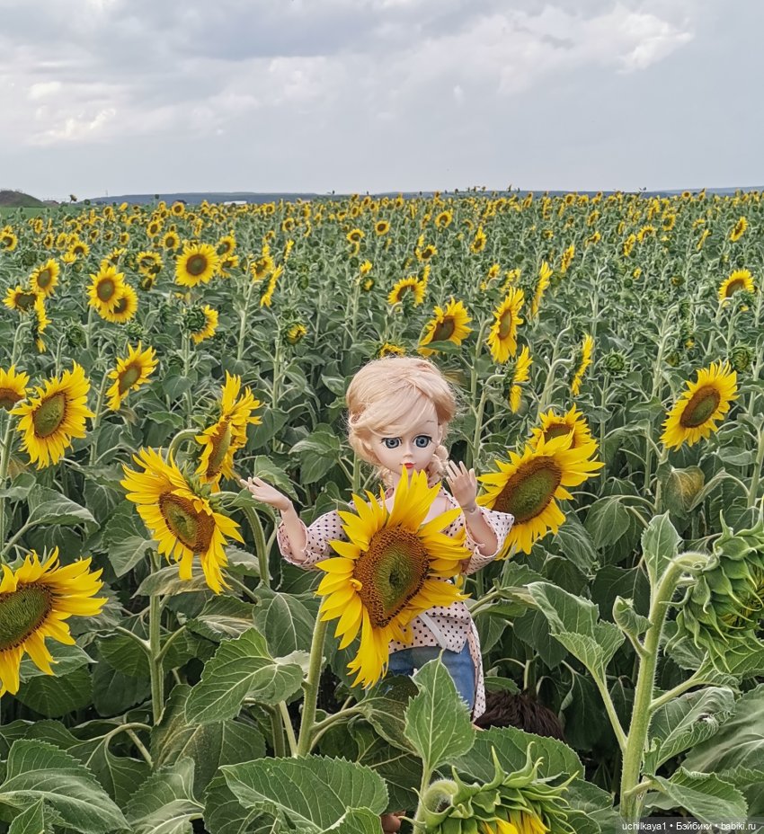 Звезда моя — Куклы Звезды подиума (Angel Collection): шарнирные