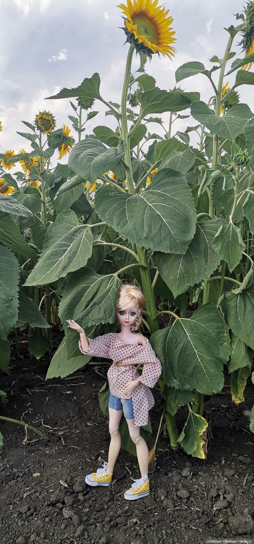 Звезда моя — Куклы Звезды подиума (Angel Collection): шарнирные