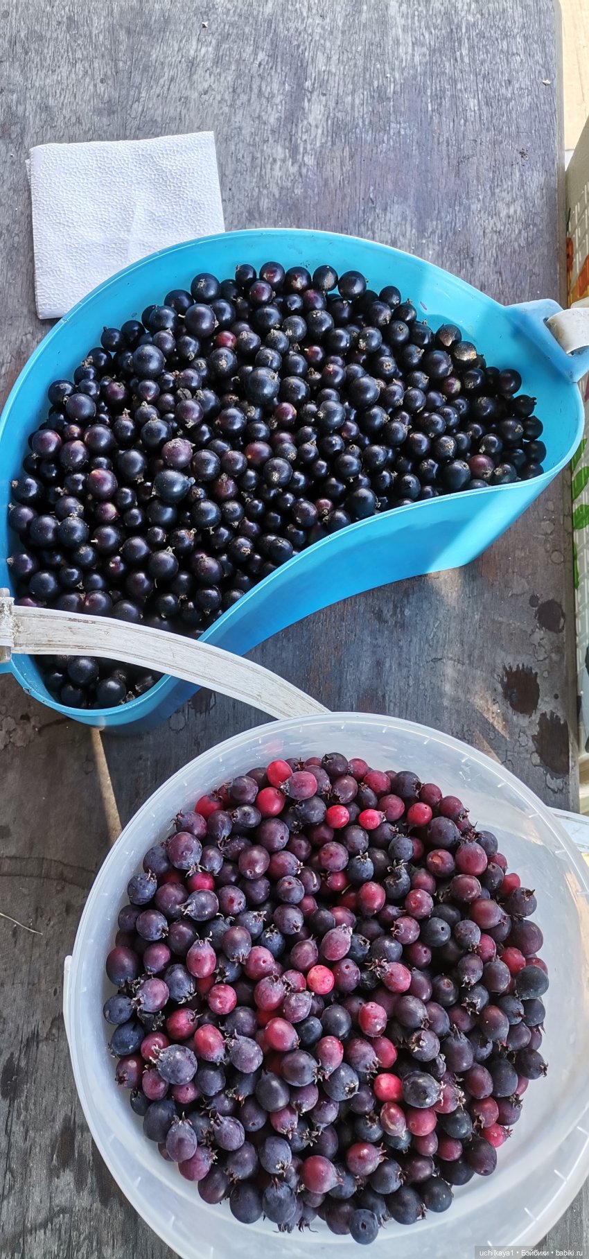 Звезда моя. Снова Аня — Куклы Звезды подиума (Angel Collection): шарнирные (фото 7)