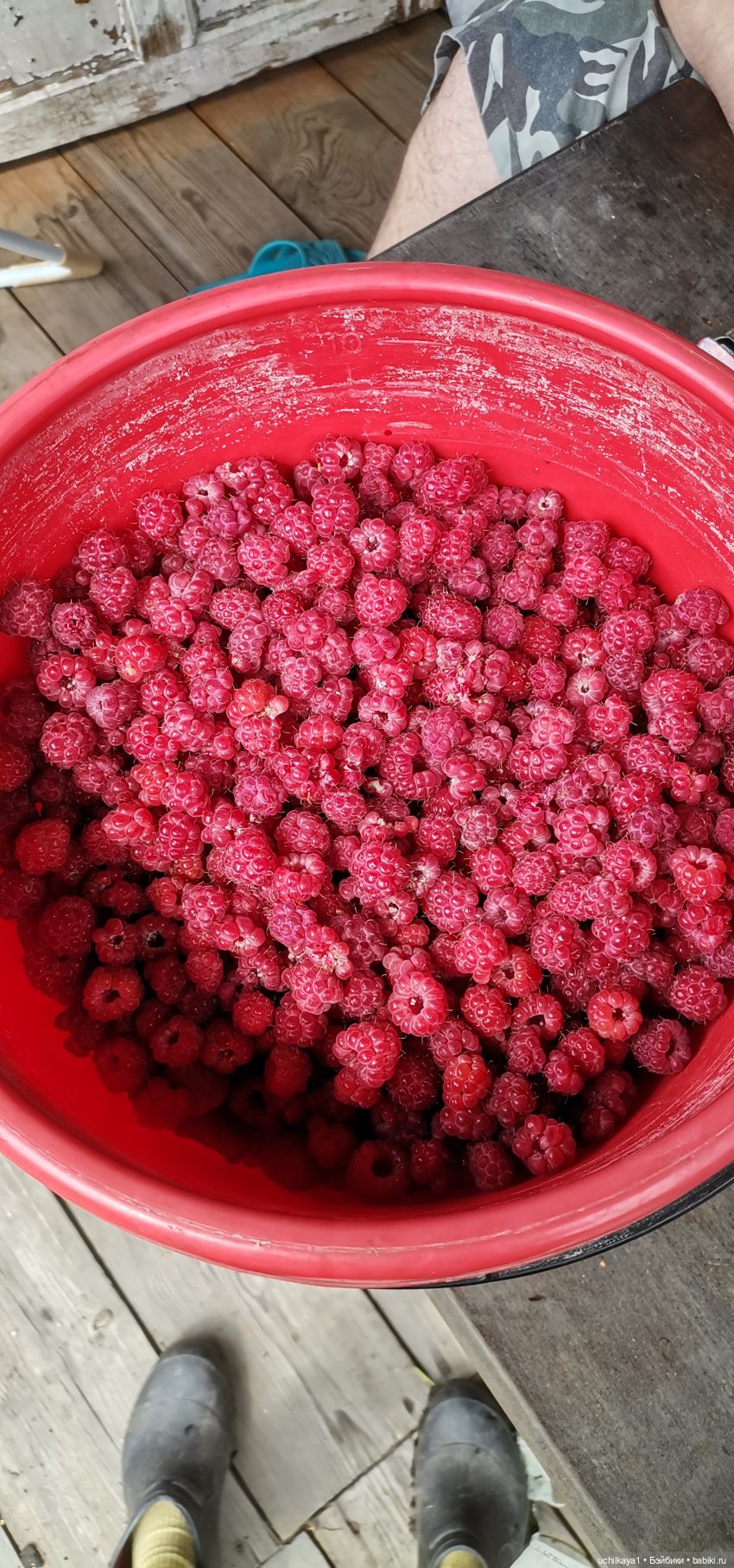 Звезда моя. Снова Аня — Куклы Звезды подиума (Angel Collection): шарнирные (фото 8)