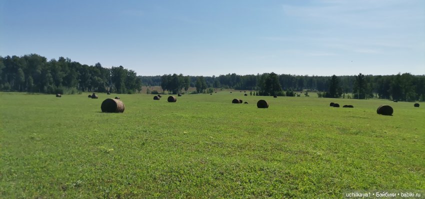 Анна на сене — Куклы Звезды подиума (Angel Collection): шарнирные (фото 3)