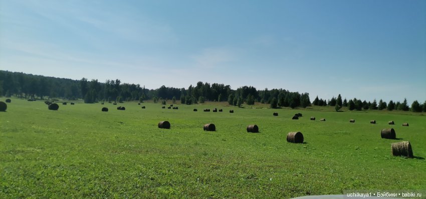 Анна на сене — Куклы Звезды подиума (Angel Collection): шарнирные (фото 2)