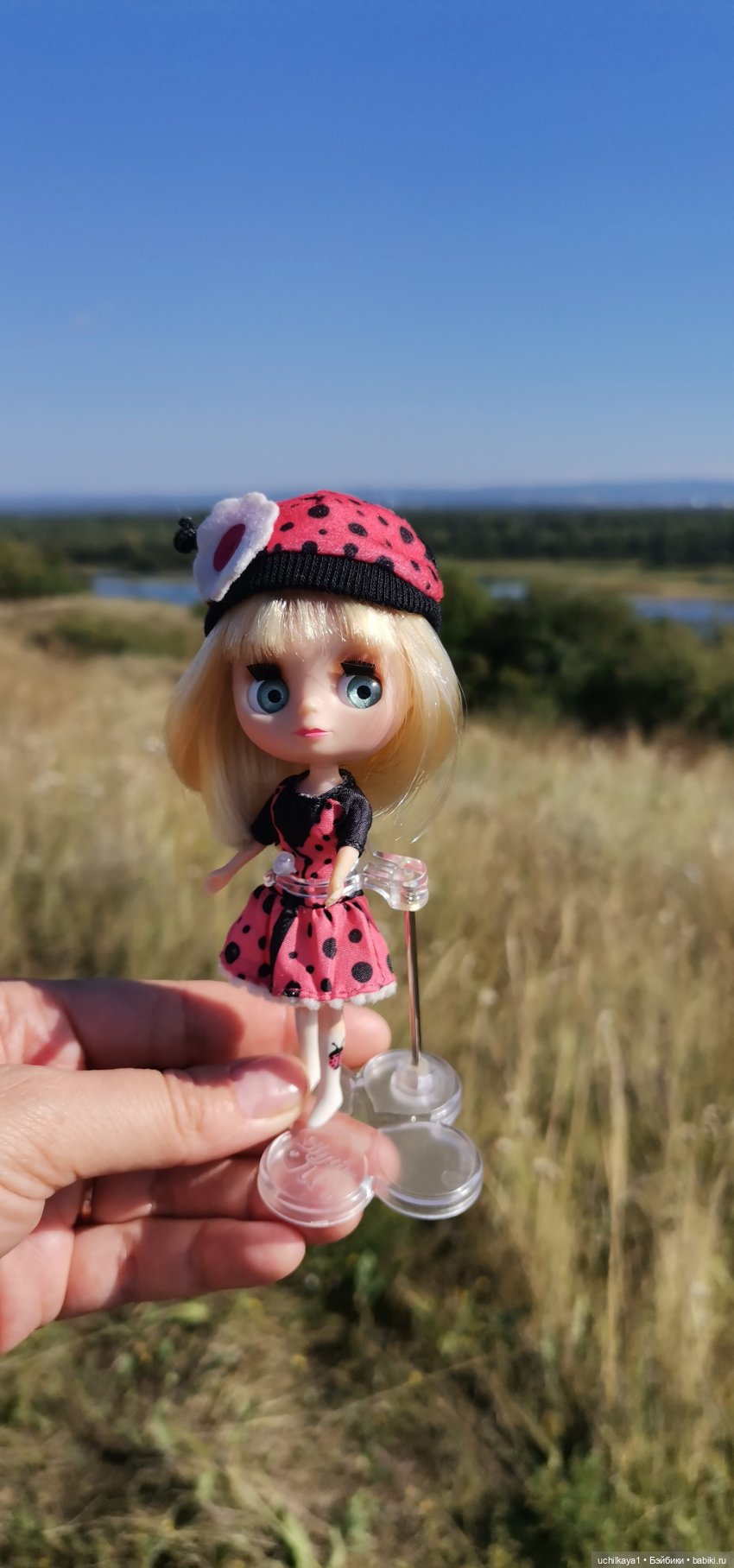 Божья коровка Лида — Оригинальные куклы Blythe (Блайз): Takara (фото 3)