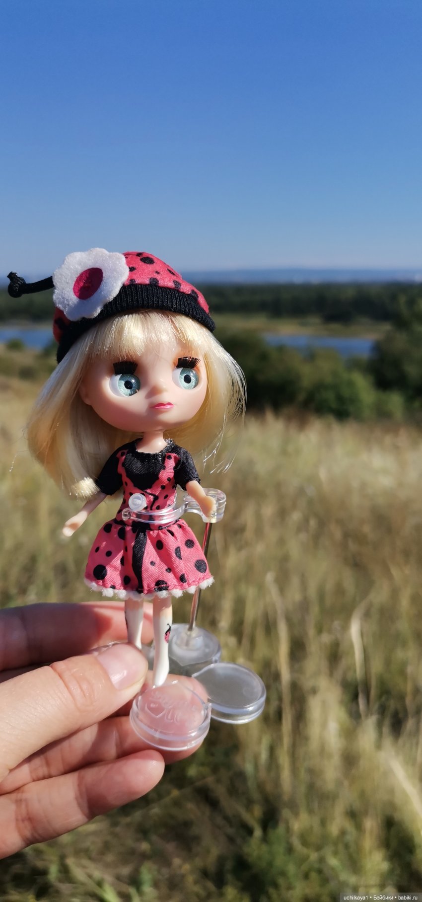 Божья коровка Лида — Оригинальные куклы Blythe (Блайз): Takara (фото 2)