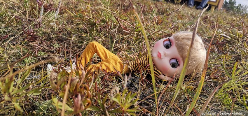 Первая прогулка Юльки — Куклы Blythe TBL (ТБЛ) и аналоги: Блюх (фото 8)