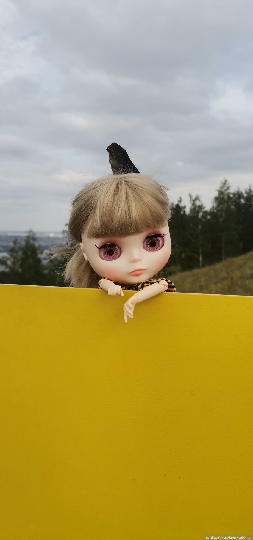 Первая прогулка Юльки — Куклы Blythe TBL (ТБЛ) и аналоги: Блюх