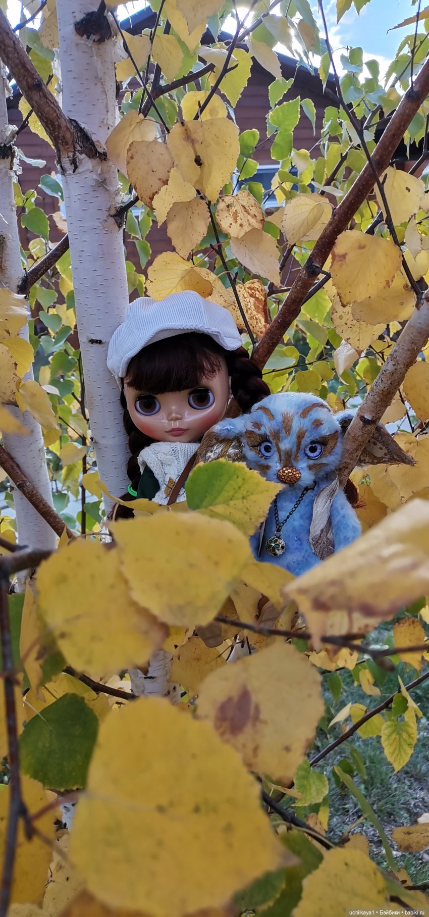 Суббота Сури — Оригинальные куклы Blythe (Блайз): Takara
