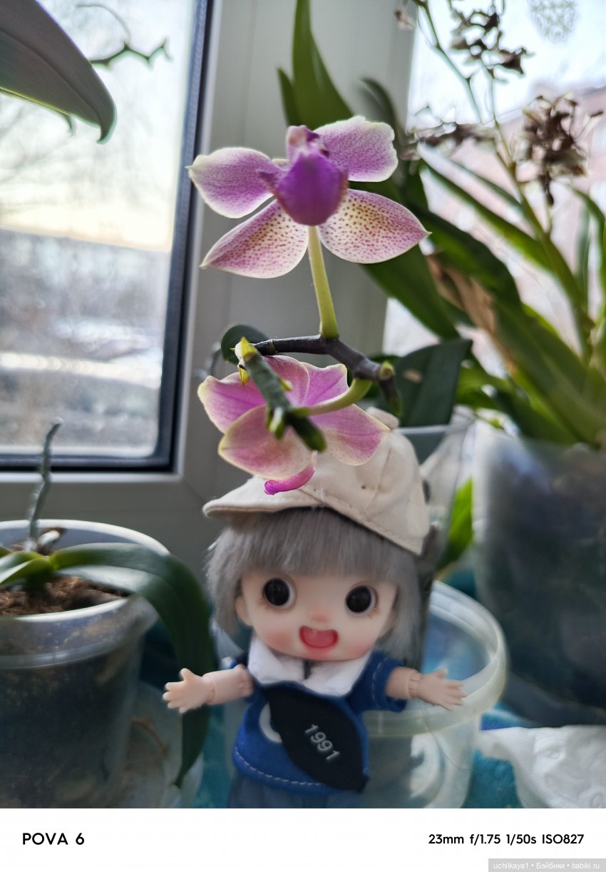 Про Вовку — Куклы Baboliy (Баболи (фото 8)