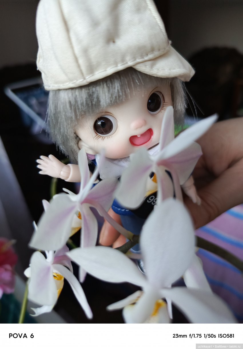 Про Вовку — Куклы Baboliy (Баболи (фото 9)