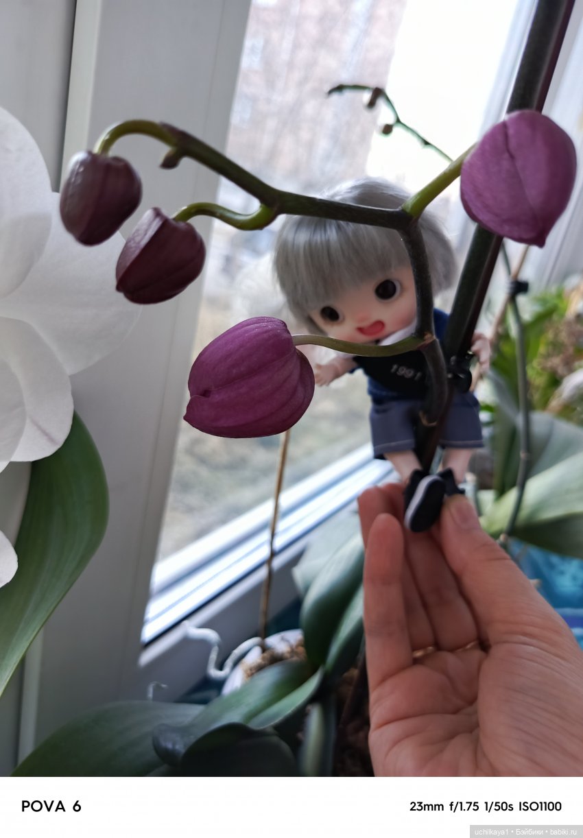 Про Вовку — Куклы Baboliy (Баболи (фото 7)