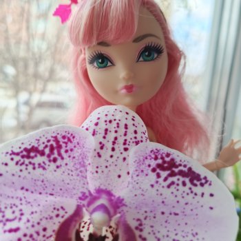 Мои жемчужинки