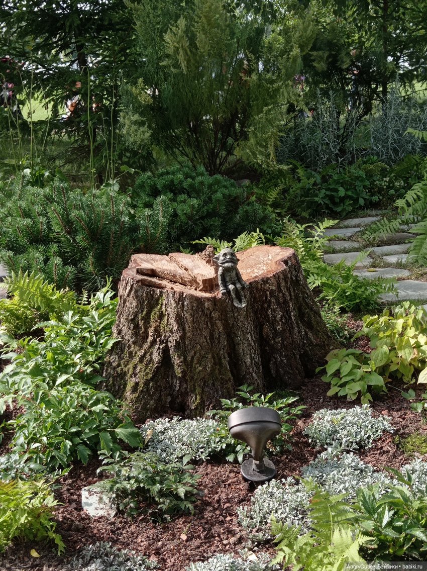 Прогулка с Робин | Бэйбики Прогулка с Робин — Куклы Rainbow High (Рейнбоу Хай (фото 7)