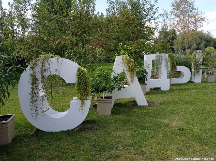 Прогулка с Робин | Бэйбики Прогулка с Робин — Куклы Rainbow High (Рейнбоу Хай (фото 5)