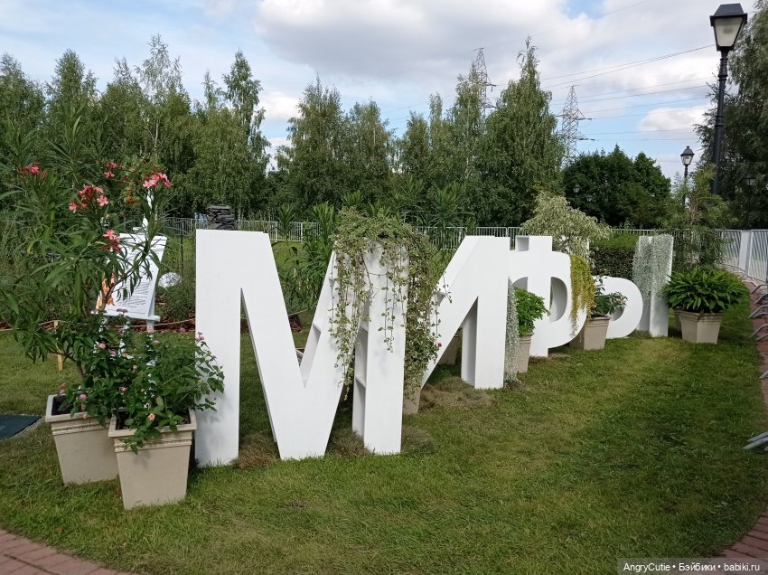 Прогулка с Робин | Бэйбики Прогулка с Робин — Куклы Rainbow High (Рейнбоу Хай (фото 6)