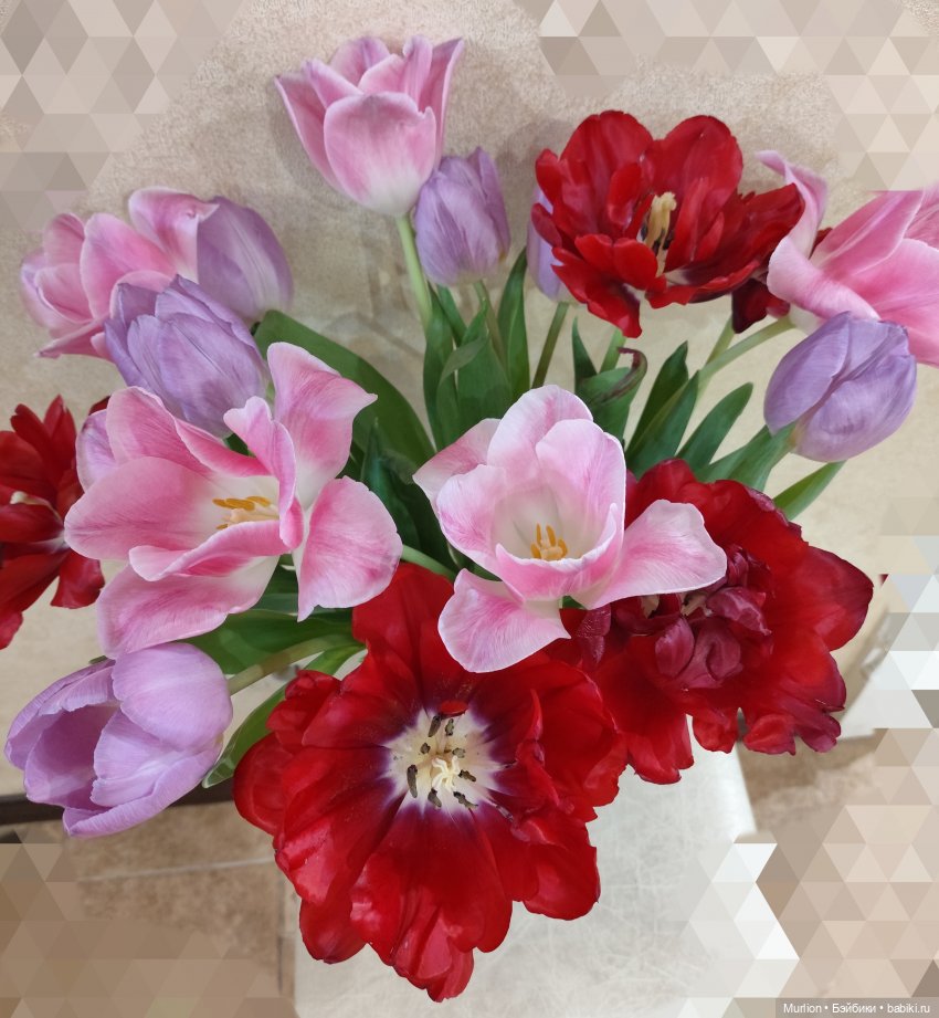 Цветы и куклы, куклы и цветы (фото 4)