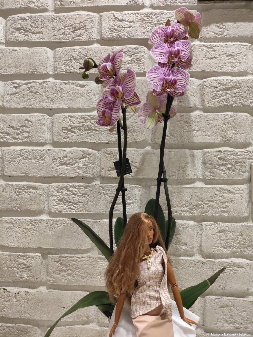 Моя радость на 8 марта — Куклы Barbie (Барби): Looks