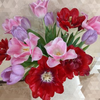 Цветы и куклы, куклы и цветы