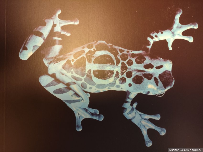 За ГРАНЬю кукольного мира (фото 3)