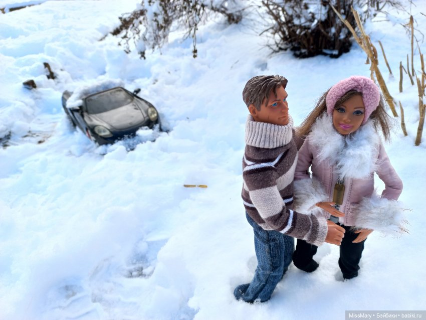 Кто зиму вдруг захотел вернуть (фото 2)