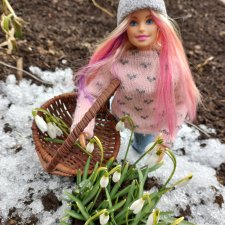 Подснежники