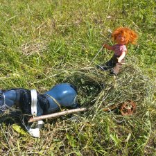 Деревенские мотивы. Ехал Сеня, вёз с покоса сено