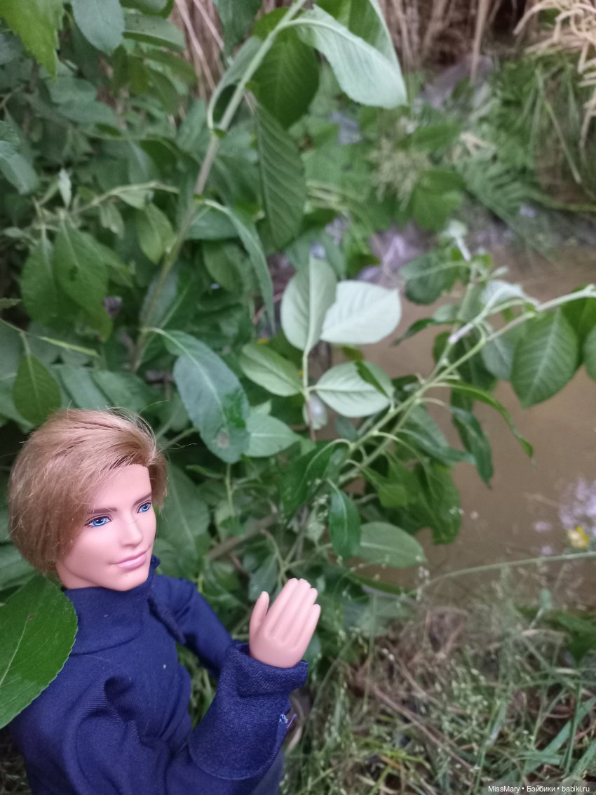 "Золотая вершина". 1 серия