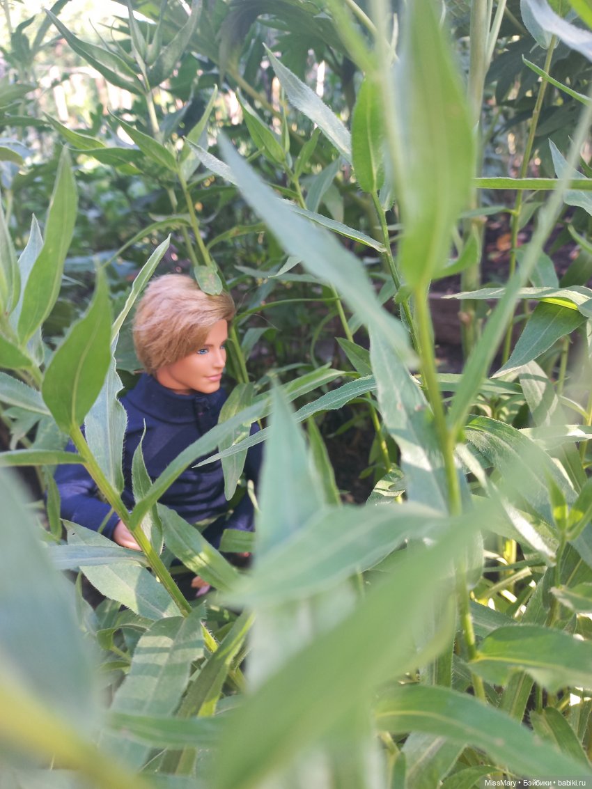 "Золотая вершина". 1 серия