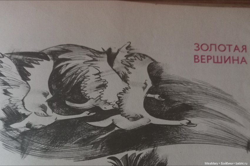 "Золотая вершина". Анонс | Бэйбики "Золотая вершина". Анонс — Болталка и разговоры обо всем: жизнь (фото 5)