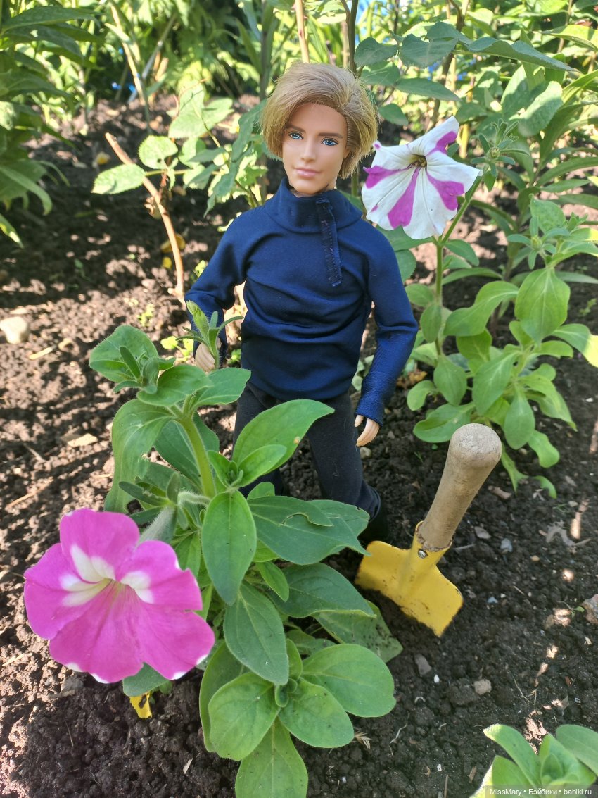 "Золотая вершина". 1 серия (фото 2)