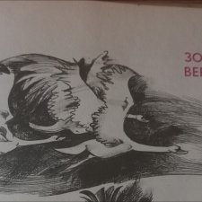 "Золотая вершина". Анонс