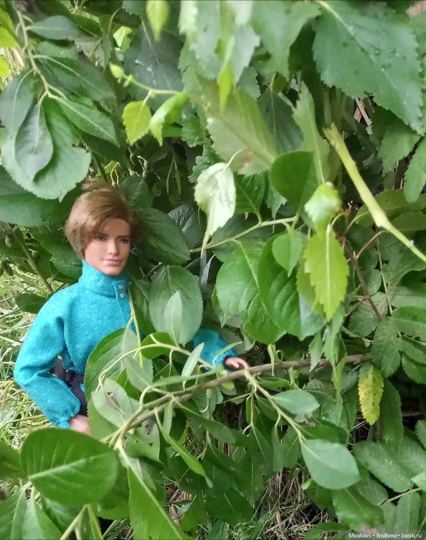 "Золотая вершина". 2 серия