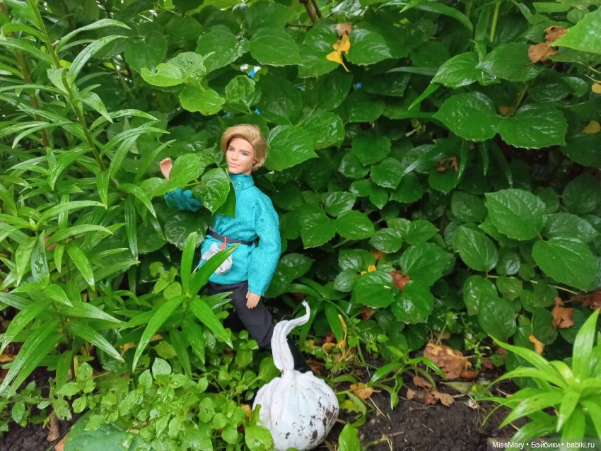 "Золотая вершина". 4 серия (фото 10)