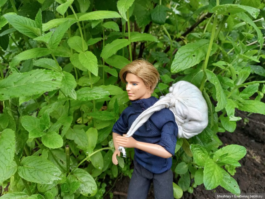 "Золотая вершина". 5 серия (фото 8)